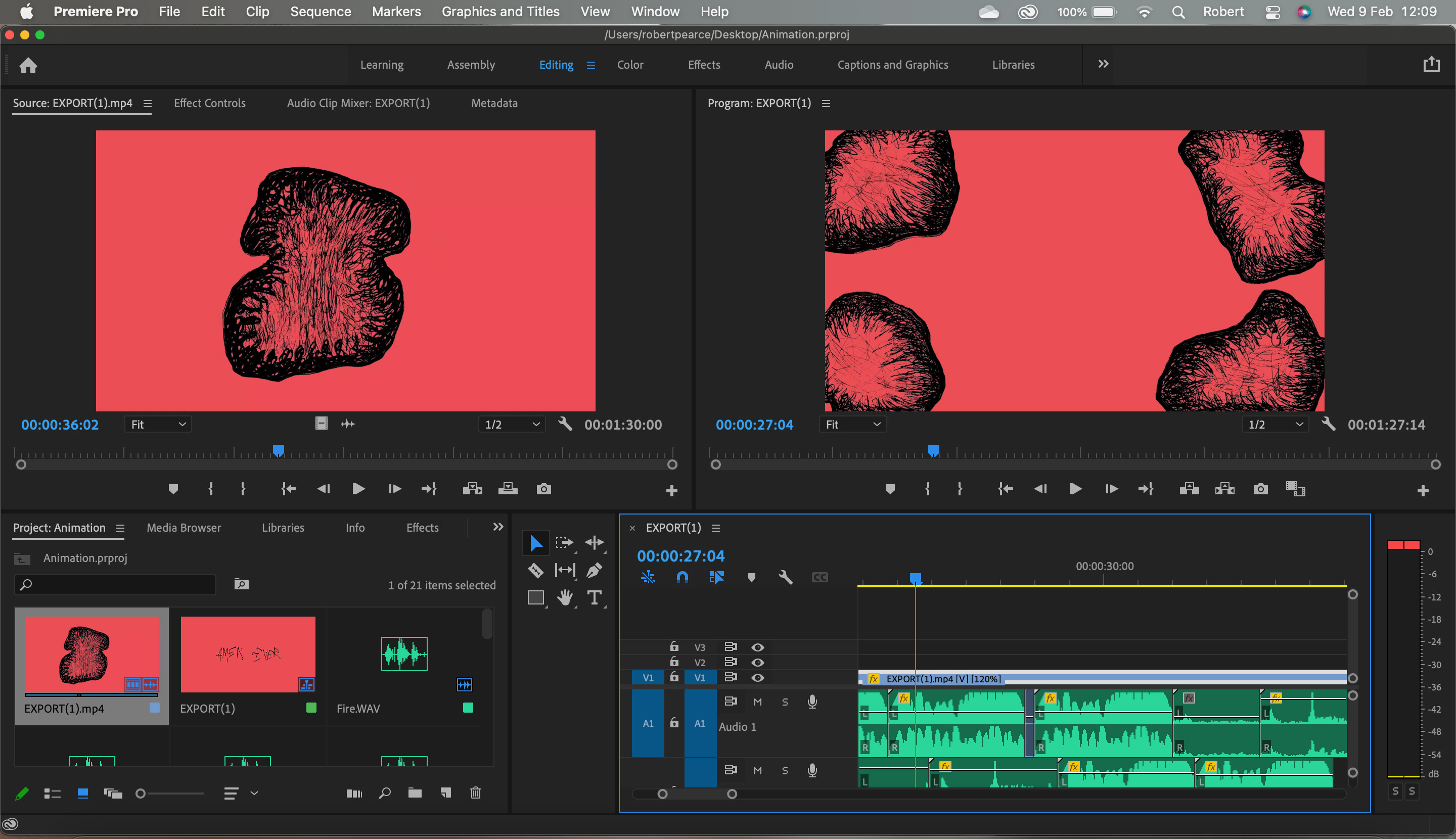 Premier Pro Screenshot